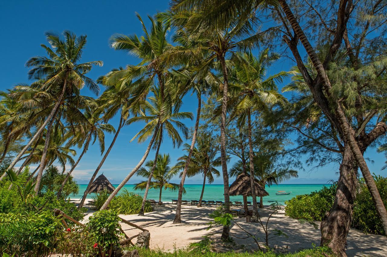 Pongwe Beach Hotel Exterior foto